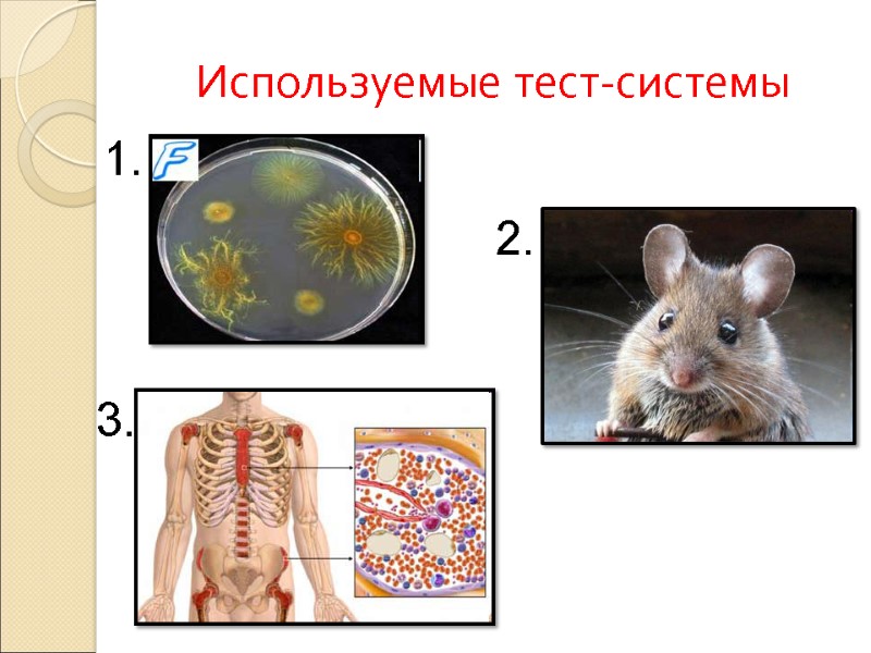 Используемые тест-системы 1. 2. 3.